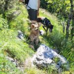 Escursione Cammino dei Bronzi Dorati 24 /5/2026