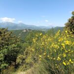 Escursione Cammino dei Bronzi Dorati 24 /5/2026
