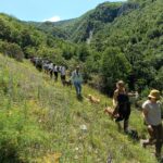 Escursione Cammino dei Bronzi Dorati 24 /5/2026