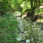Escursione Cammino dei Bronzi Dorati 24 /5/2026