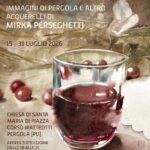 Frammenti - Immagini di Pergola e altro di Mirka Perseghetti