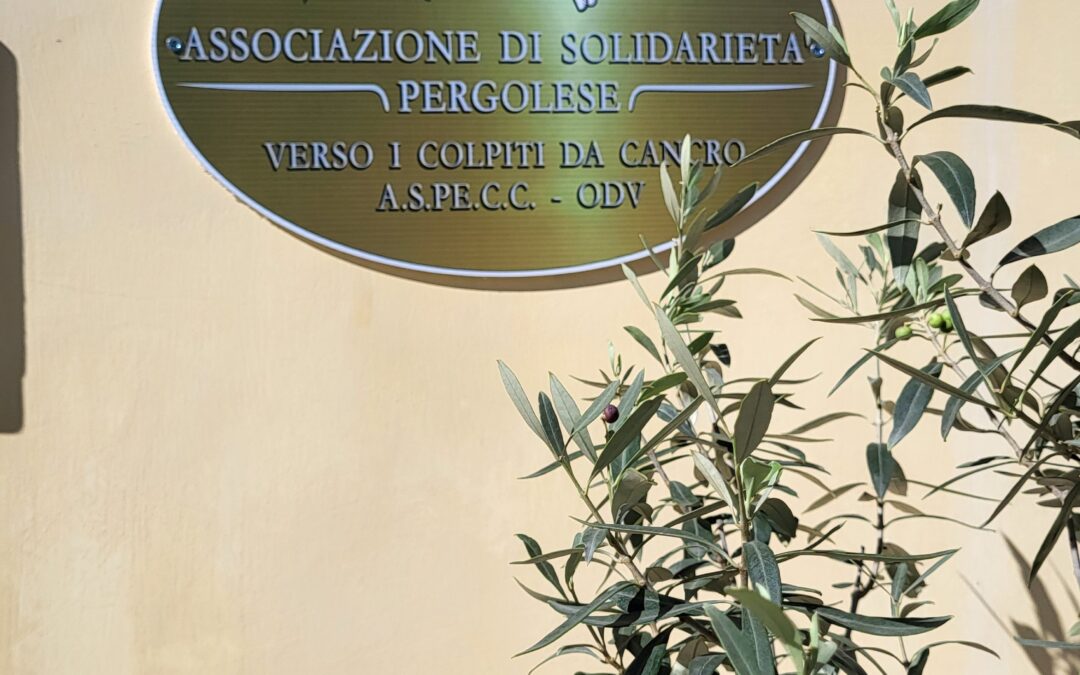 Solidarietà e comunità: inaugurata a Palazzo Jonni la nuova sede dell’Aspecc Odv